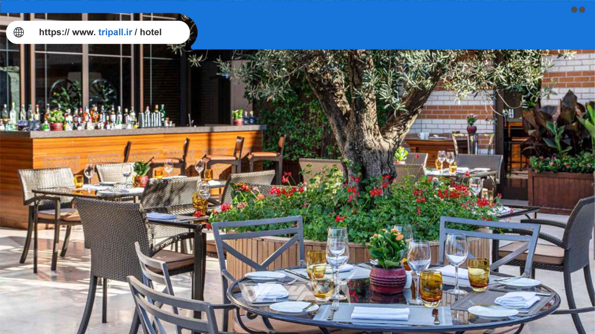 امکانات هتل Divan Istanbul